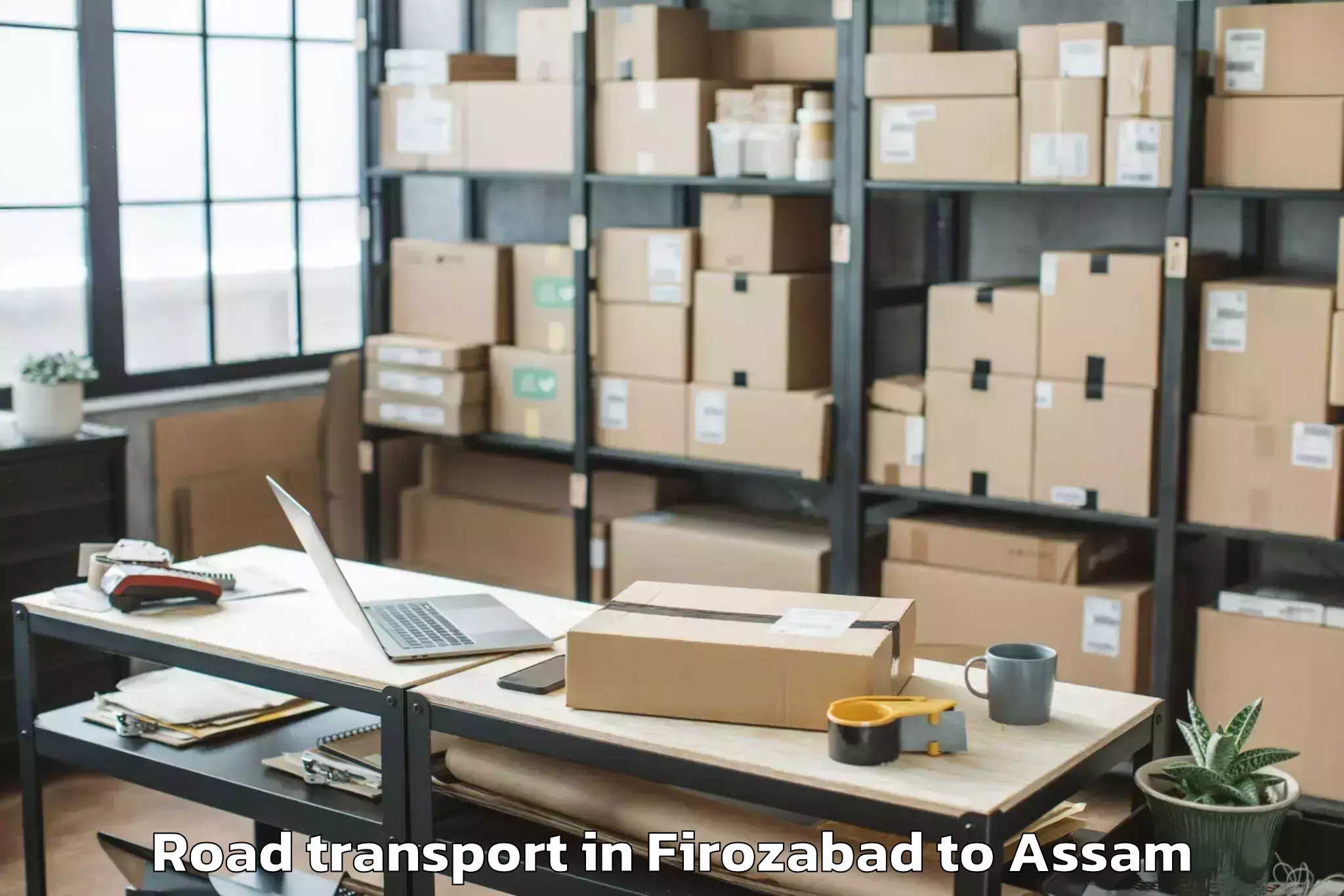 Professional Firozabad to Sissiborgaon Road Transport